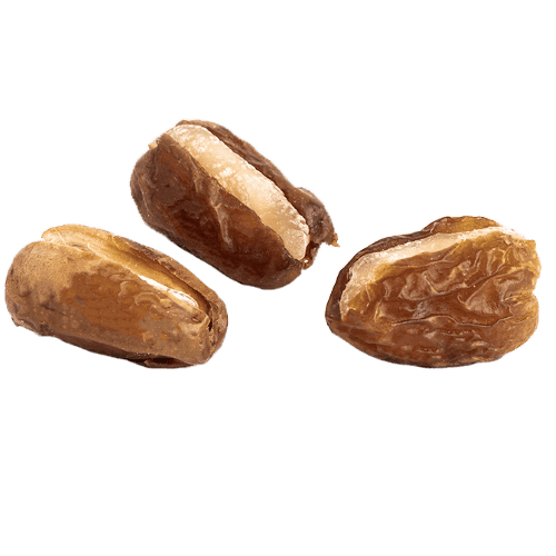 صقعي بالراحة مستكة